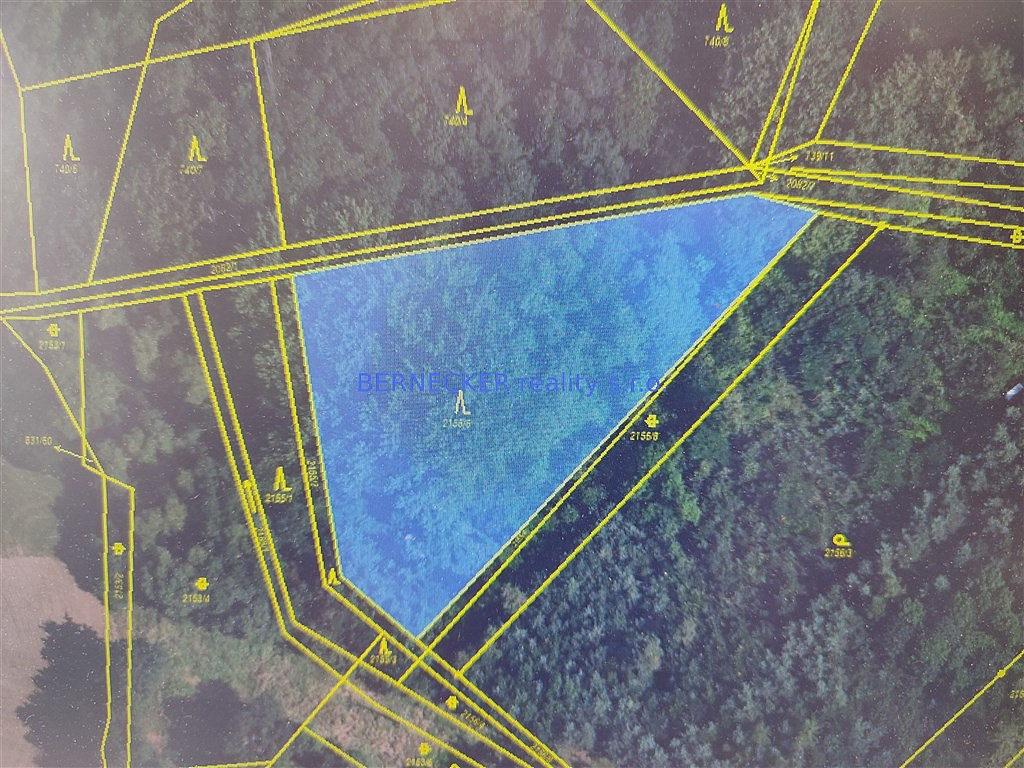 Prodej lesa 5 127 m²