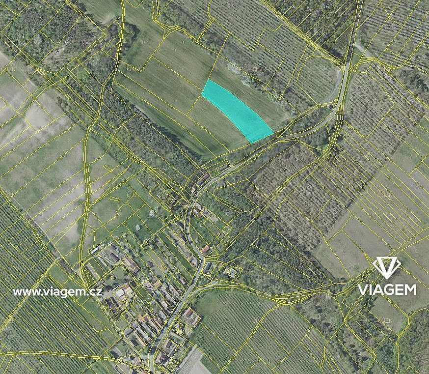 Prodej pole 2 336 m² – fotografie 2