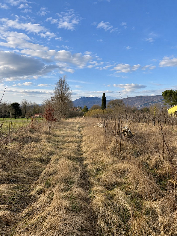 Prodej stavebního pozemku 1 000 m²
