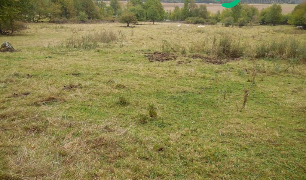 Prodej stavebního pozemku 4 000 m², Konstantinovy Lázně – náhled fotky 2