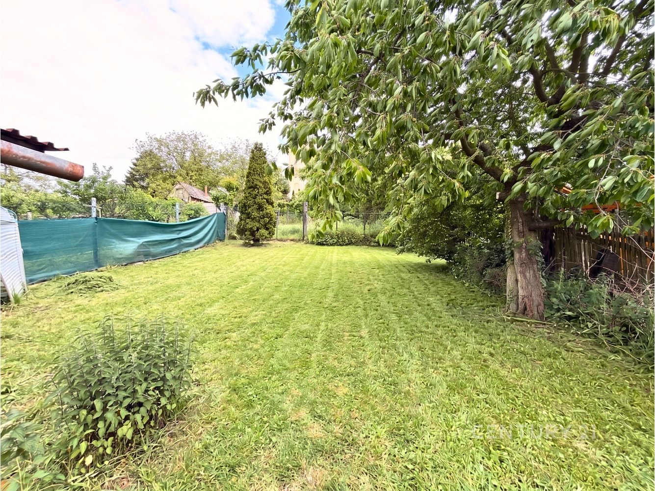 Prodej domu 118 m² s pozemkem 768 m² – fotografie 5