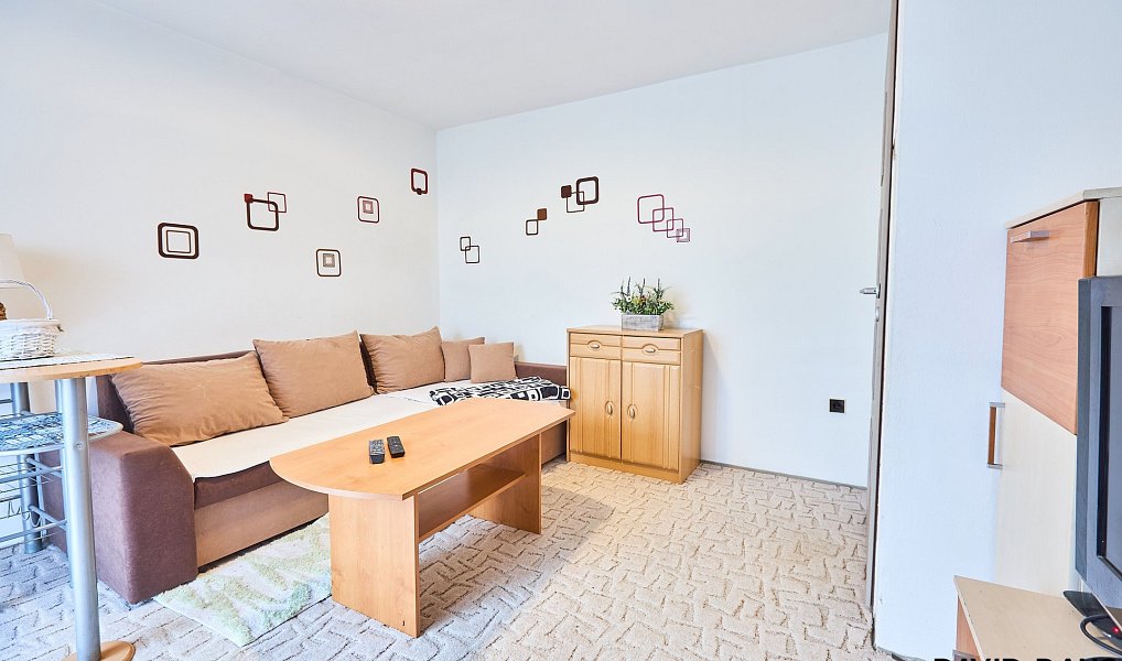 Prodej domu 232 m² s pozemkem 1 077 m², Hrušovany u Brna – náhled fotky 6