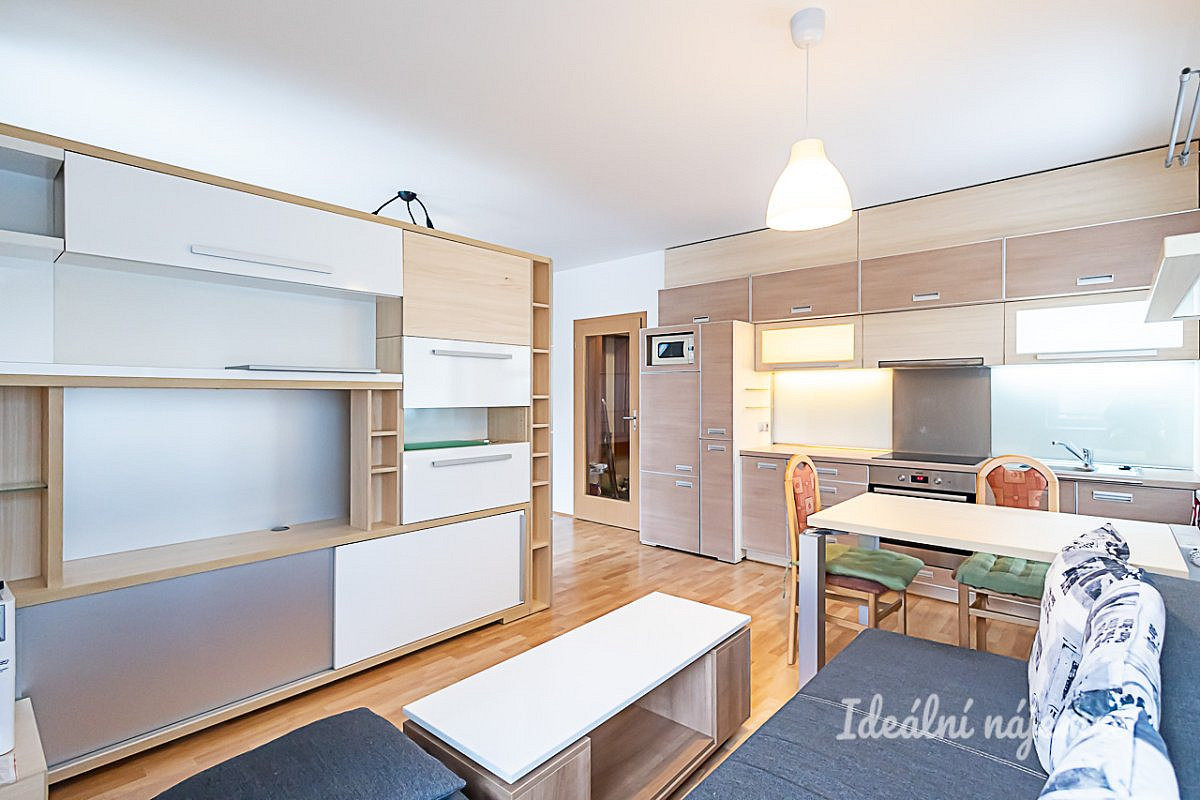 Pronájem bytu 1+kk 40 m² – fotografie 4