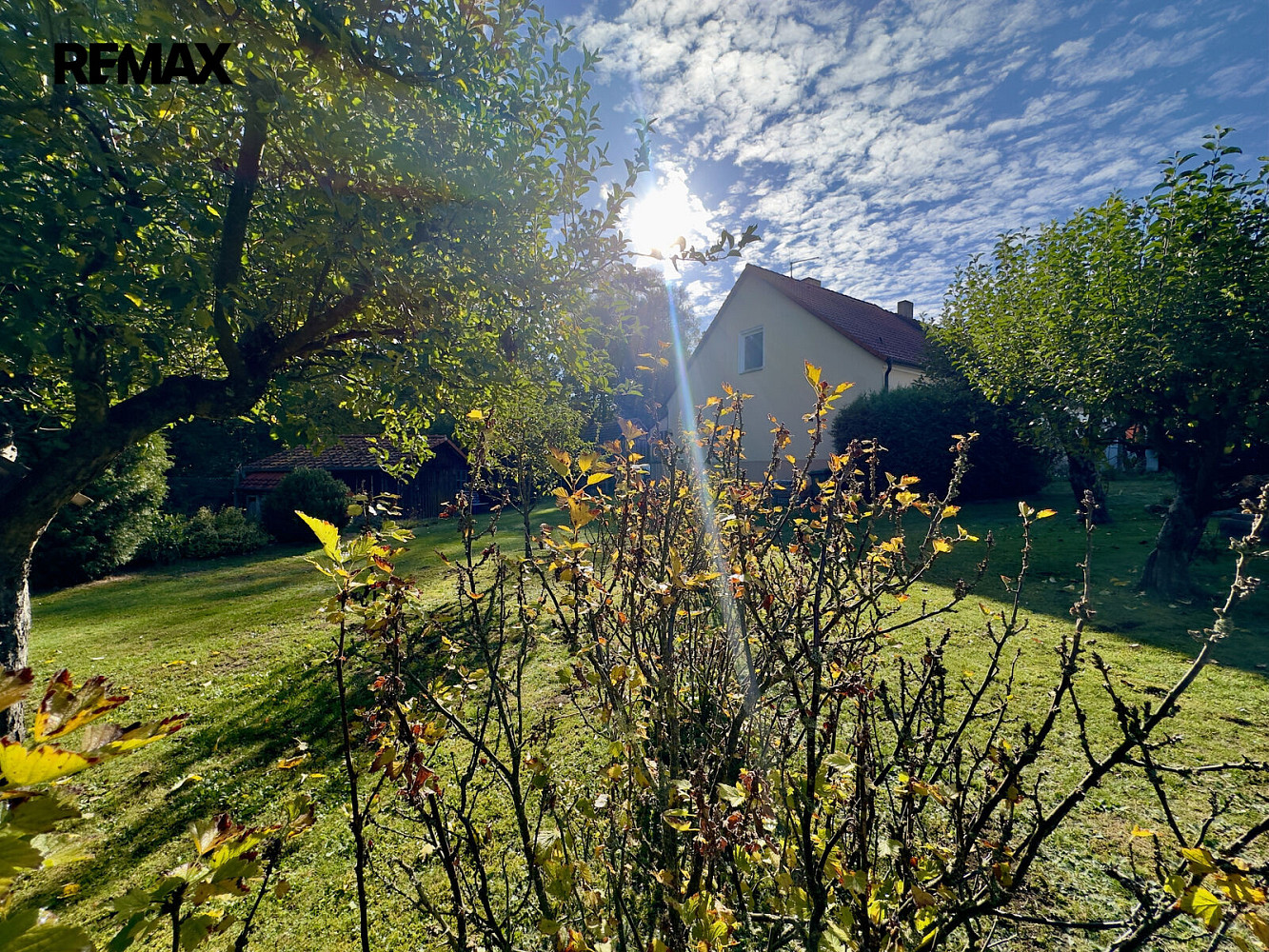 Fotka 14 z 18