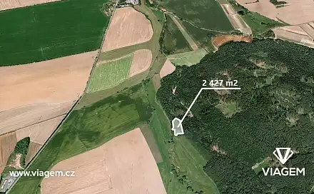 Prodej lesa 707 m², Koloveč, okres Domažlice