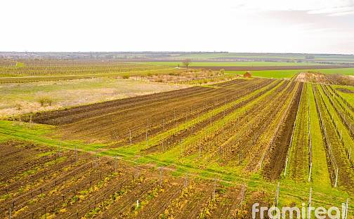 Prodej stavebního pozemku 2 723 m², Moravský Žižkov, okres Břeclav