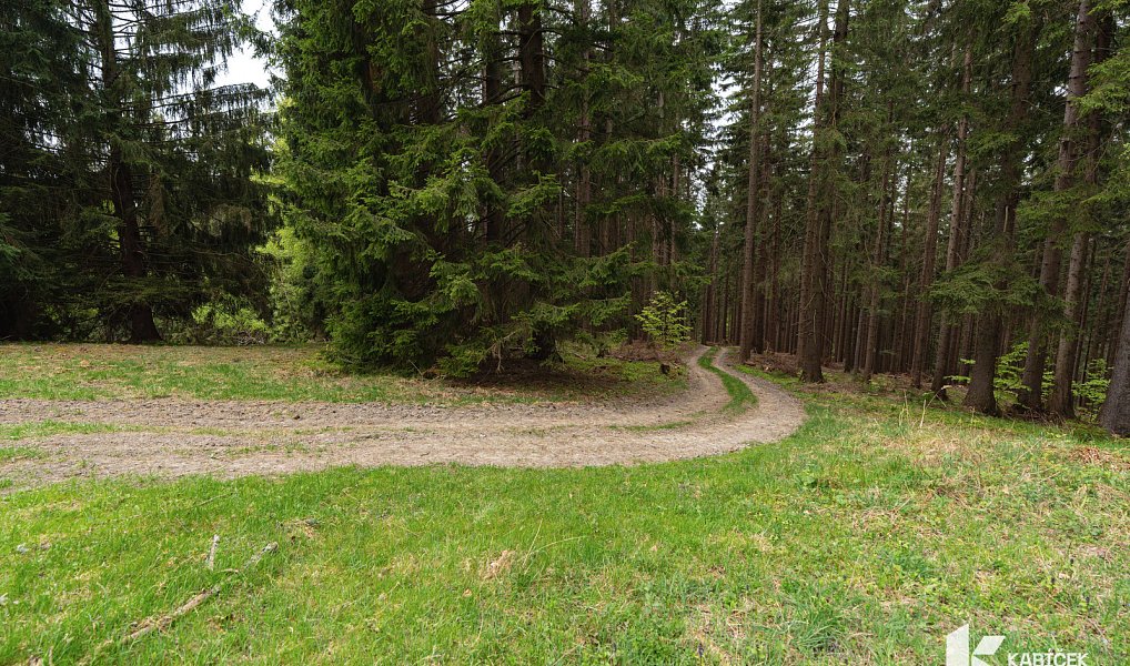 Prodej chaty/chalupy 94 m² s pozemkem 934 m², Velké Karlovice – náhled fotky 13
