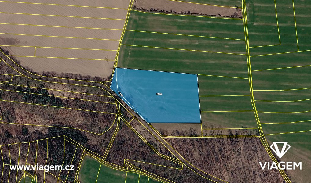Prodej pole 11 735 m², Škvorec – náhled fotky 4
