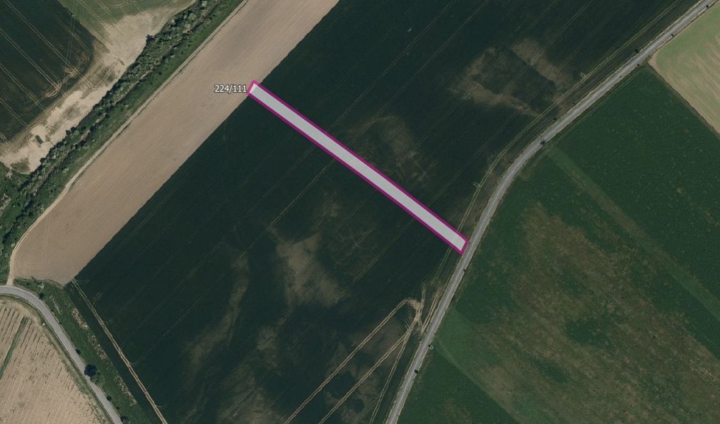 Prodej pole 5 446 m², Skoronice – náhled fotky 2