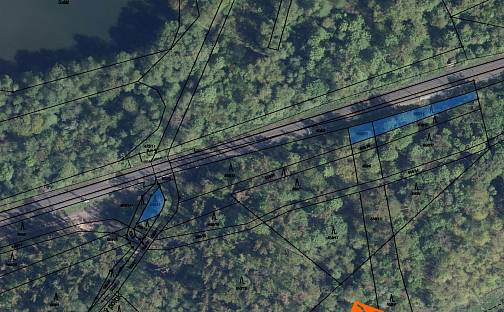 Prodej lesa 489 m², Háj u Duchcova, okres Teplice
