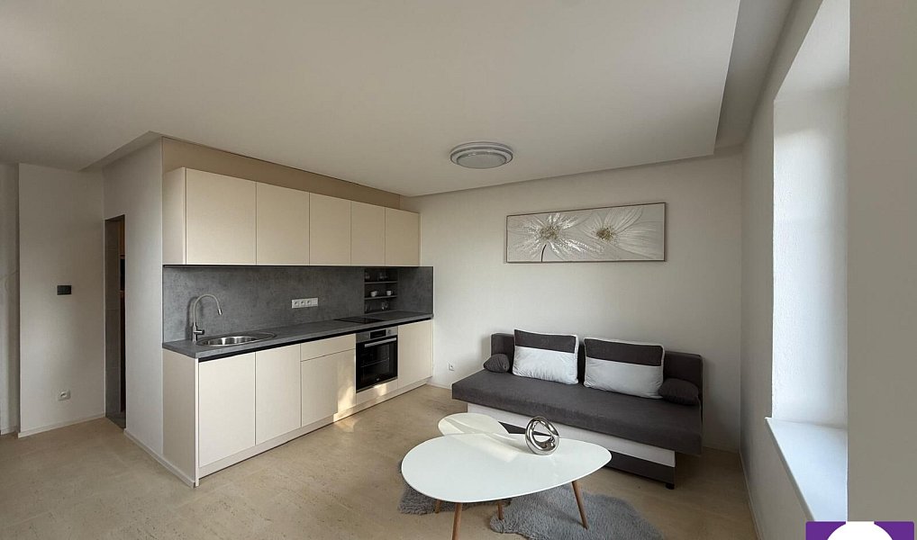 Prodej nájemního domu, činžáku 340 m², Horní Planá – náhled fotky 4