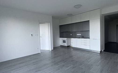 Pronájem bytu 2+kk 67 m², Pod Horami, Písek - Budějovické Předměstí