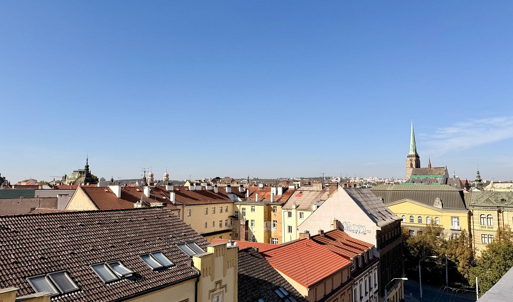 Pronájem bytu 1+1 34 m², Plzeň – náhled fotky 5
