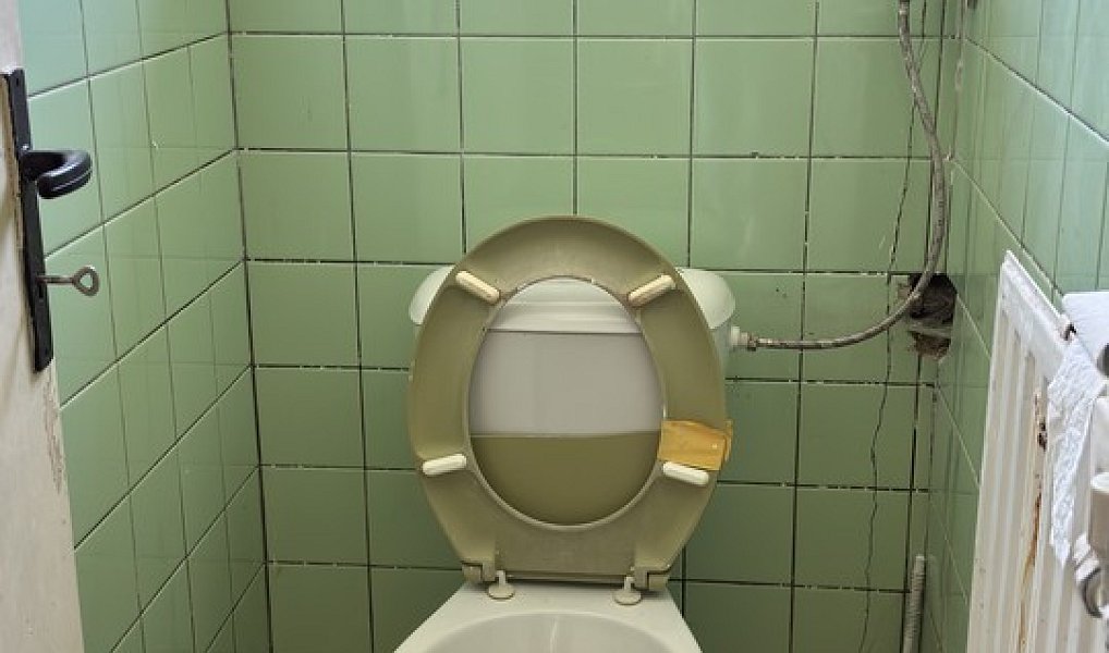 Prodej domu 87 m² s pozemkem 885 m², Svojkovice – náhled fotky 14