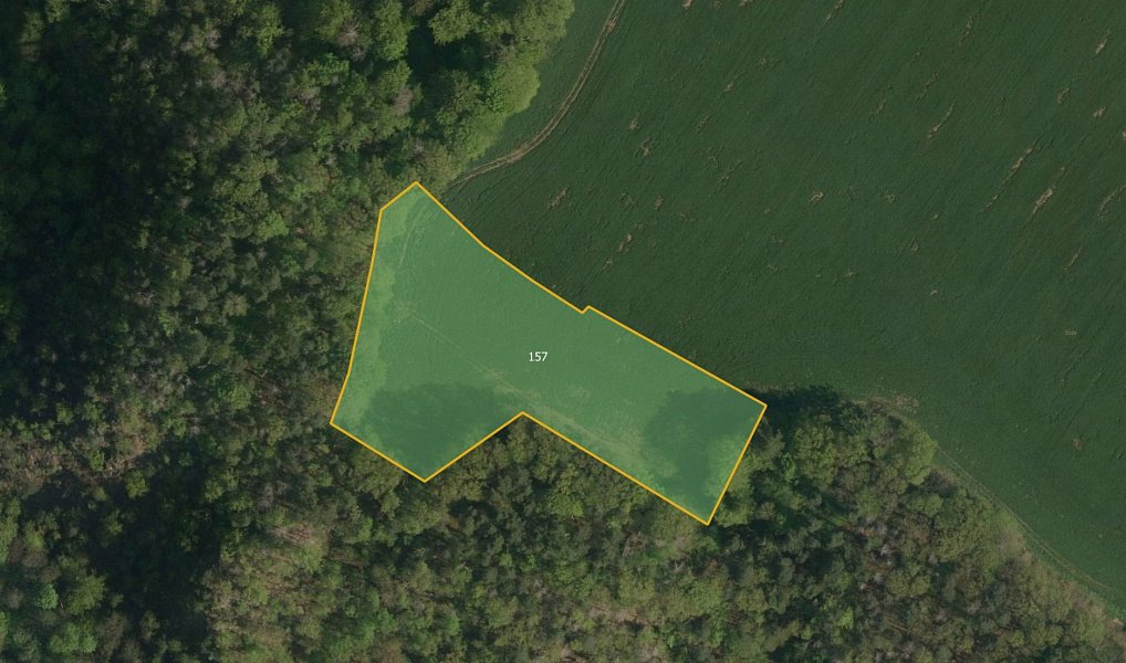 Prodej pole 20 905 m², Třemošnice – náhled fotky 2