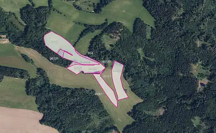 Prodej louky 51 772 m², Postřelmůvek, okres Šumperk