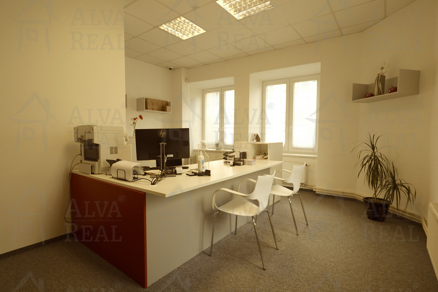 Prodej nájemního domu, činžáku 510 m² – fotografie 5