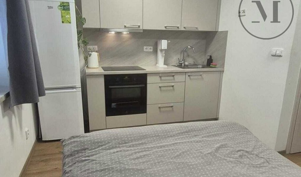 Pronájem bytu 1+kk 22 m², České Budějovice – náhled fotky 6