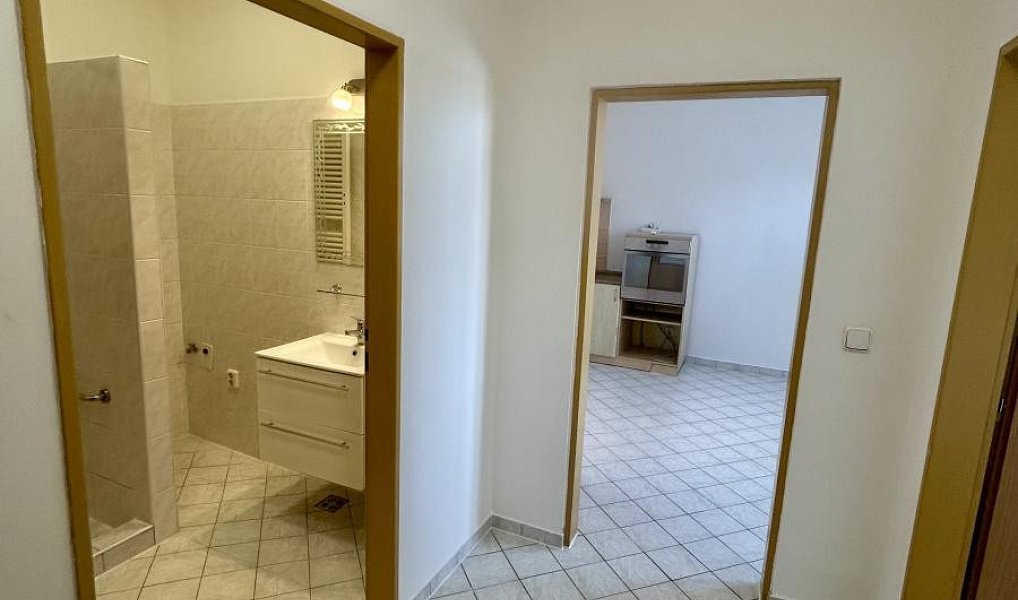 Pronájem bytu 2+1 63 m², Teplice – náhled fotky 9