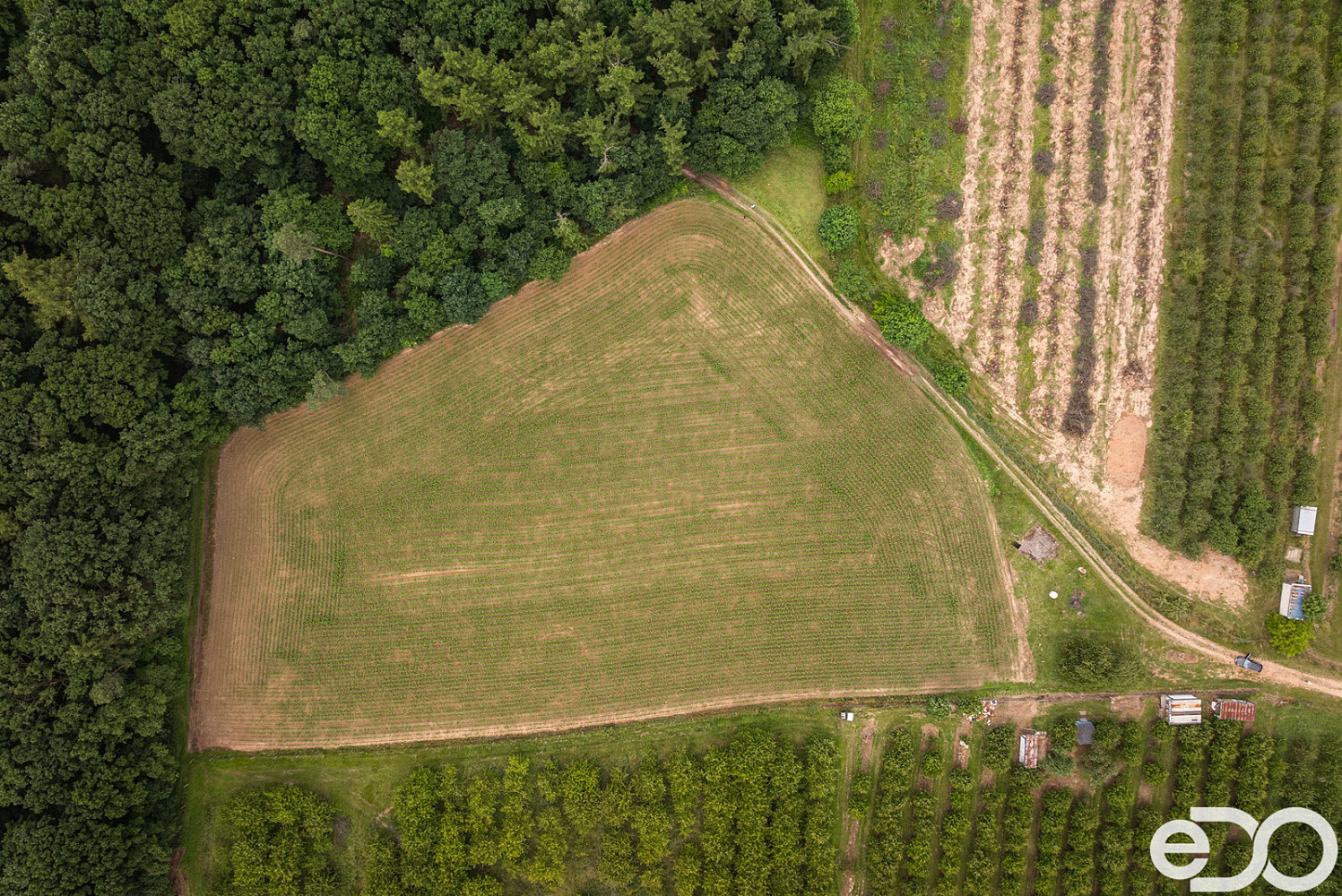 Prodej stavebního pozemku 11 163 m² – fotografie 4