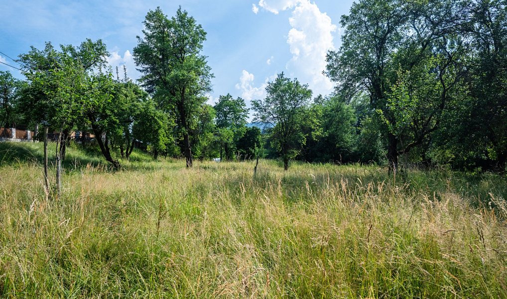 Prodej stavebního pozemku 2 790 m², Valašské Klobouky – náhled fotky 8