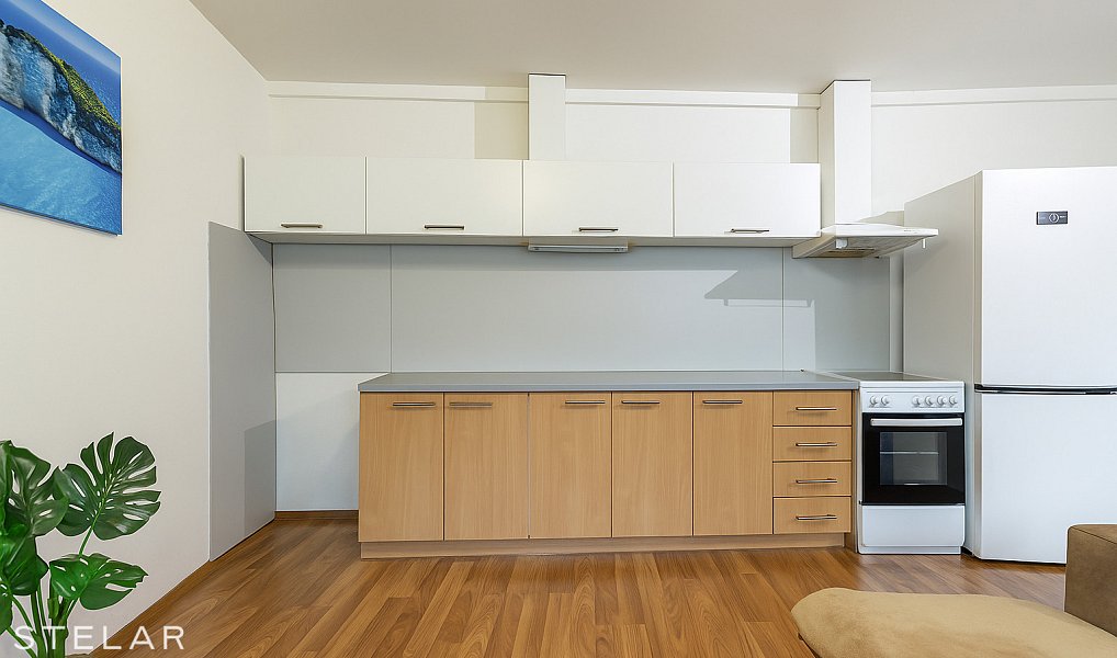 Prodej bytu 2+kk 60 m², Opava – náhled fotky 3