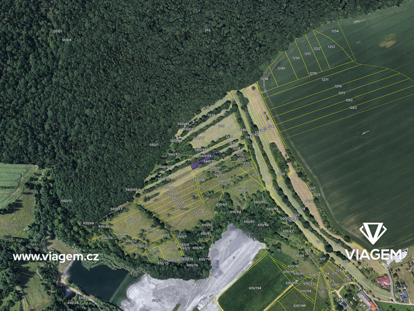 Prodej pole 313 m² – fotografie 4