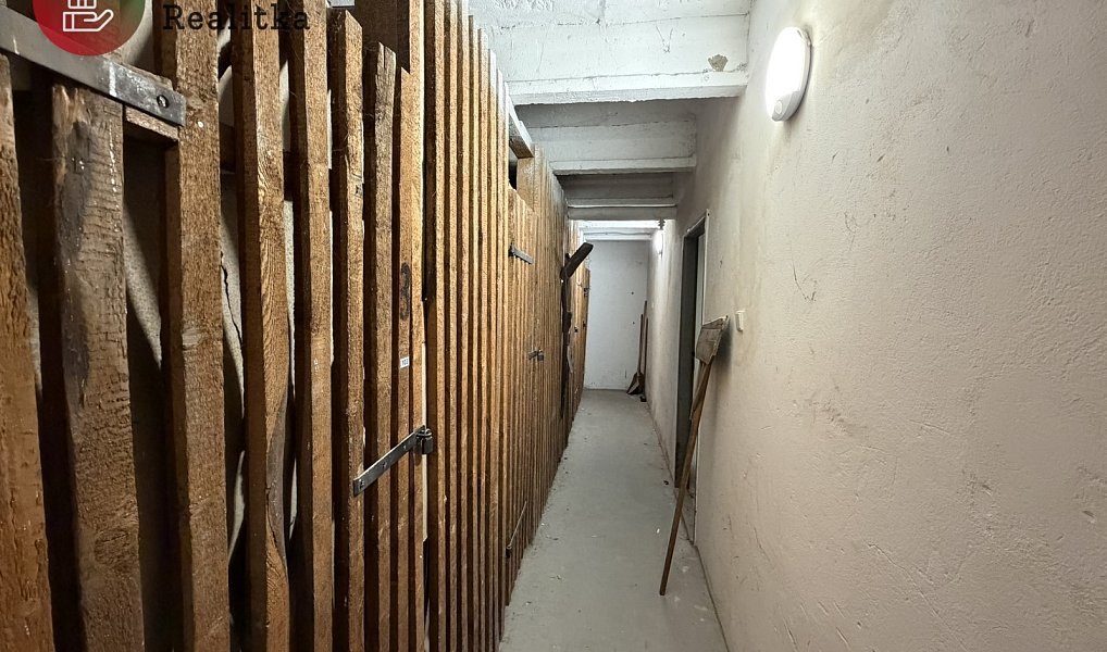 Prodej bytu 3+1 71 m², Teplice – náhled fotky 48