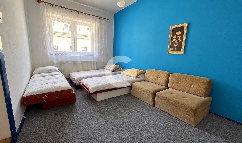 Prodej bytu atypického 450 m², Velké Opatovice – náhled fotky 9