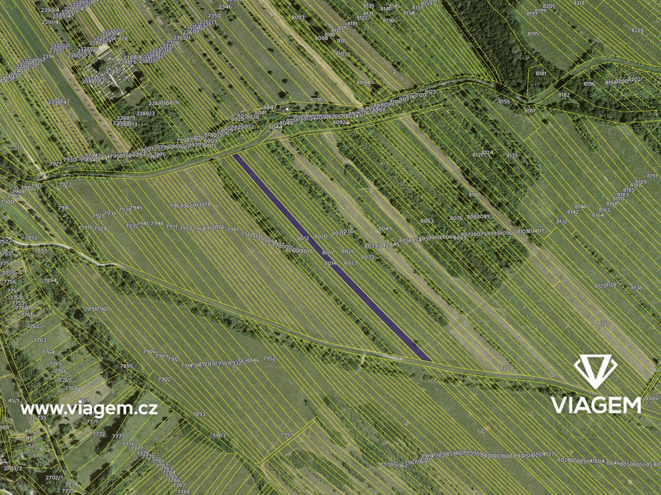 Prodej pole 1 534 m² – fotografie 4