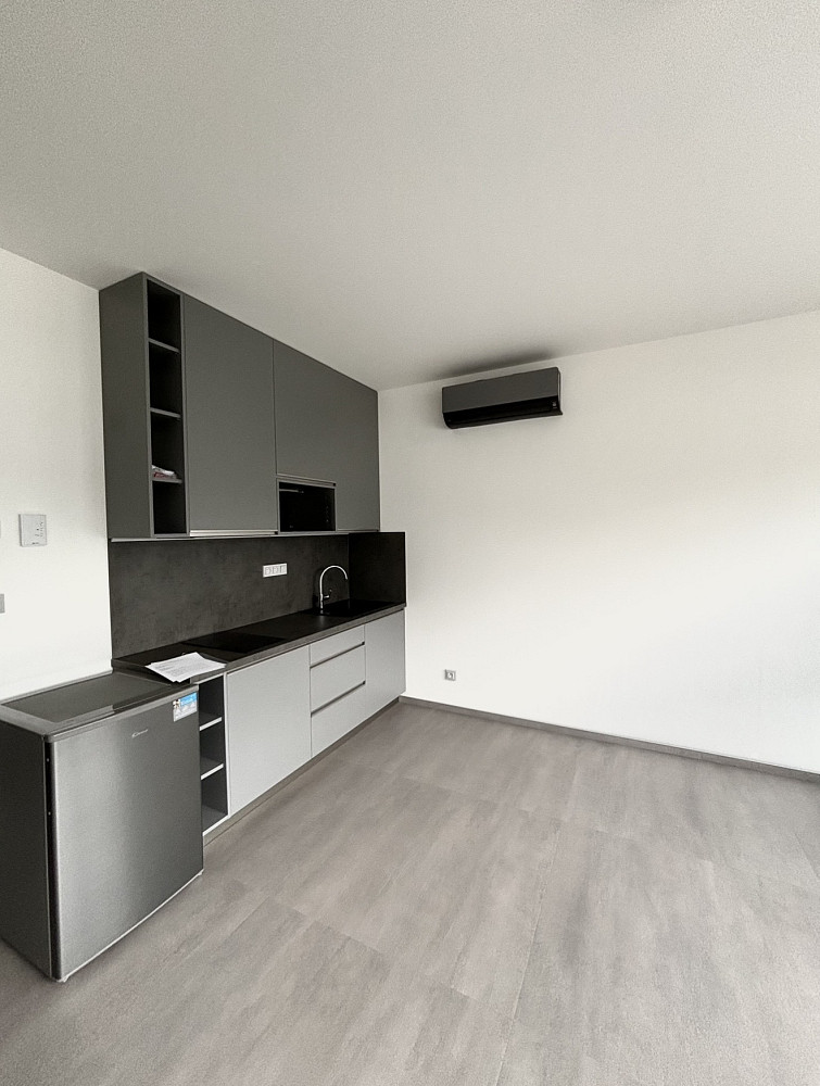Pronájem bytu 1+kk 35 m² — photo 2