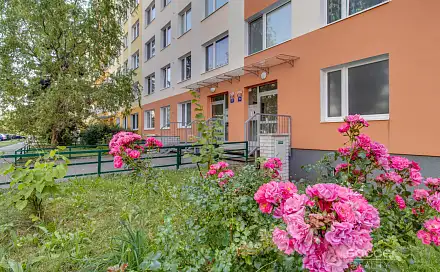 Pronájem bytu 3+1 84 m²