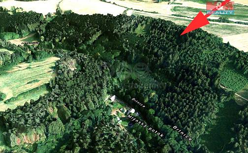 Prodej lesa 21 827 m², Brtnice, okres Jihlava
