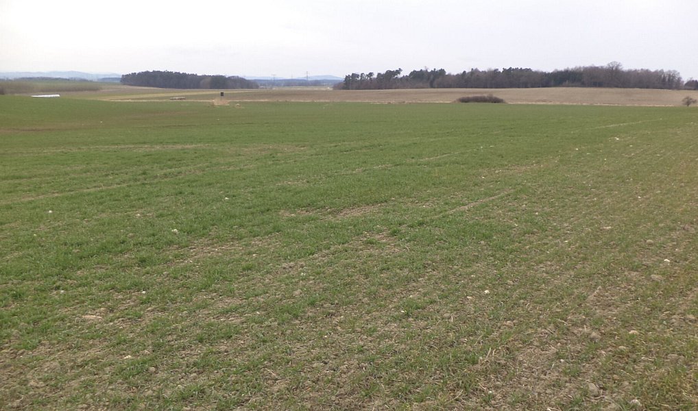 Prodej pole 2 330 m², Dříteň – náhled fotky 5