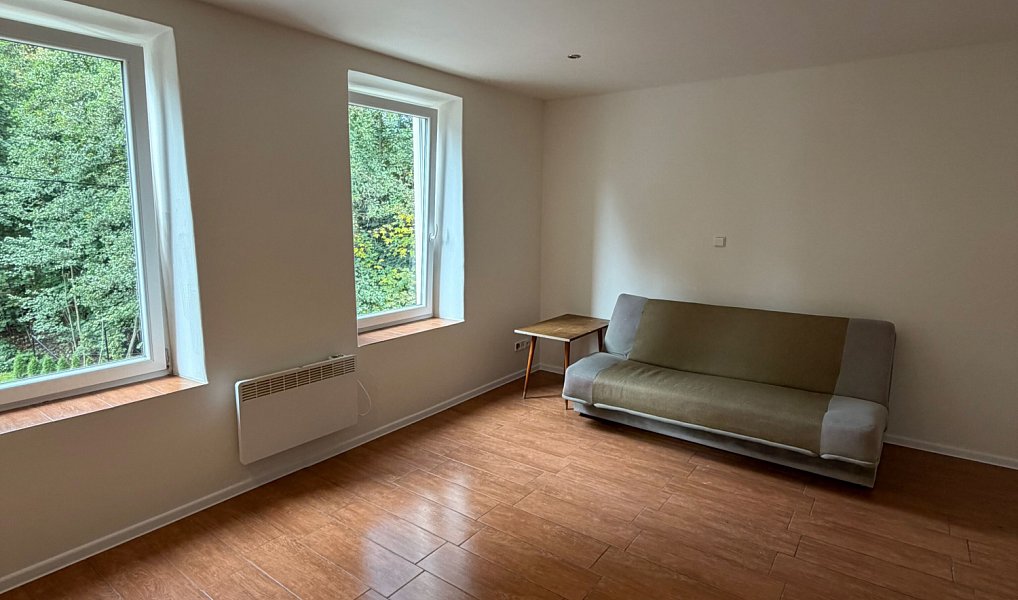 Pronájem bytu 1+kk 23 m², Trutnov – náhled fotky 3