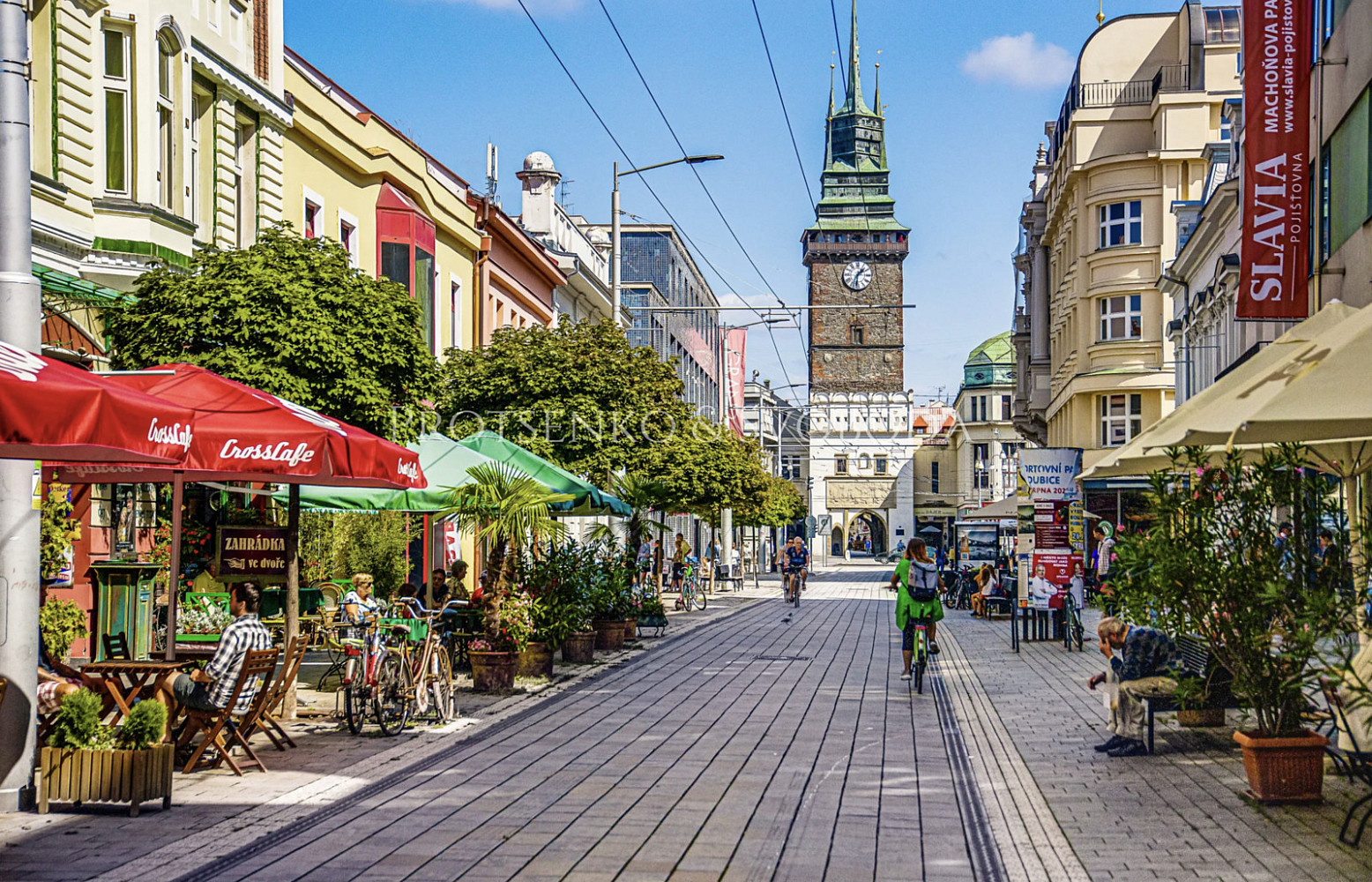 Prodej komerčního pozemku 4 073 m² – fotografie 5