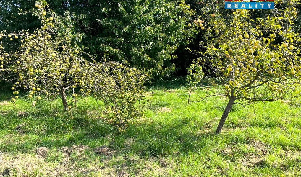 Prodej zahrady 2 676 m², Vršovice – náhled fotky 3