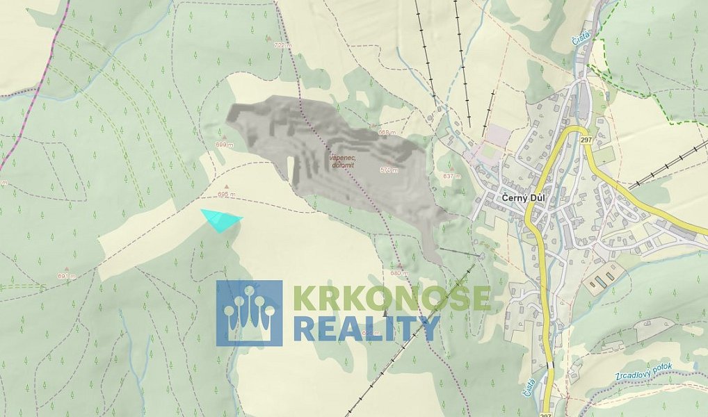 Prodej pozemku 4 617 m², Černý Důl – náhled fotky 7