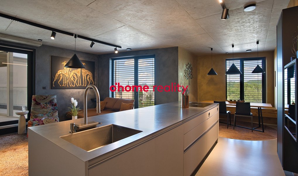 Prodej bytu 3+kk 201 m², Ostrava – náhled fotky 5