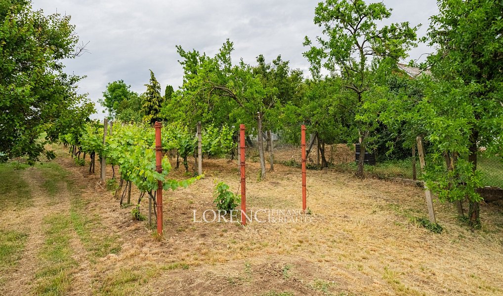 Prodej domu 104 m² s pozemkem 1 247 m², Nový Poddvorov – náhled fotky 23