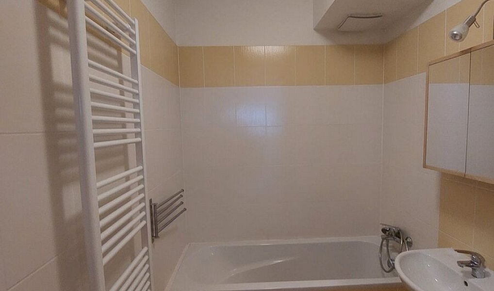 Pronájem bytu 2+kk 55 m², Praha – náhled fotky 10