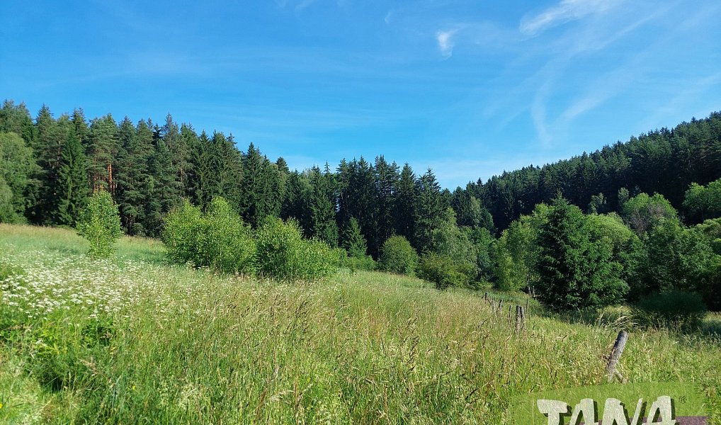 Prodej domu 80 m² s pozemkem 29 401 m², Mostek – náhled fotky 6