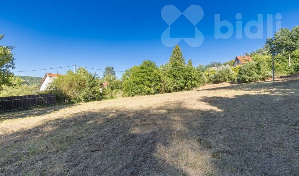 Prodej stavebního pozemku 8 271 m², Hradištko – náhled fotky 25