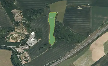 Prodej louky 25 956 m², Starý Plzenec, okres Plzeň-město