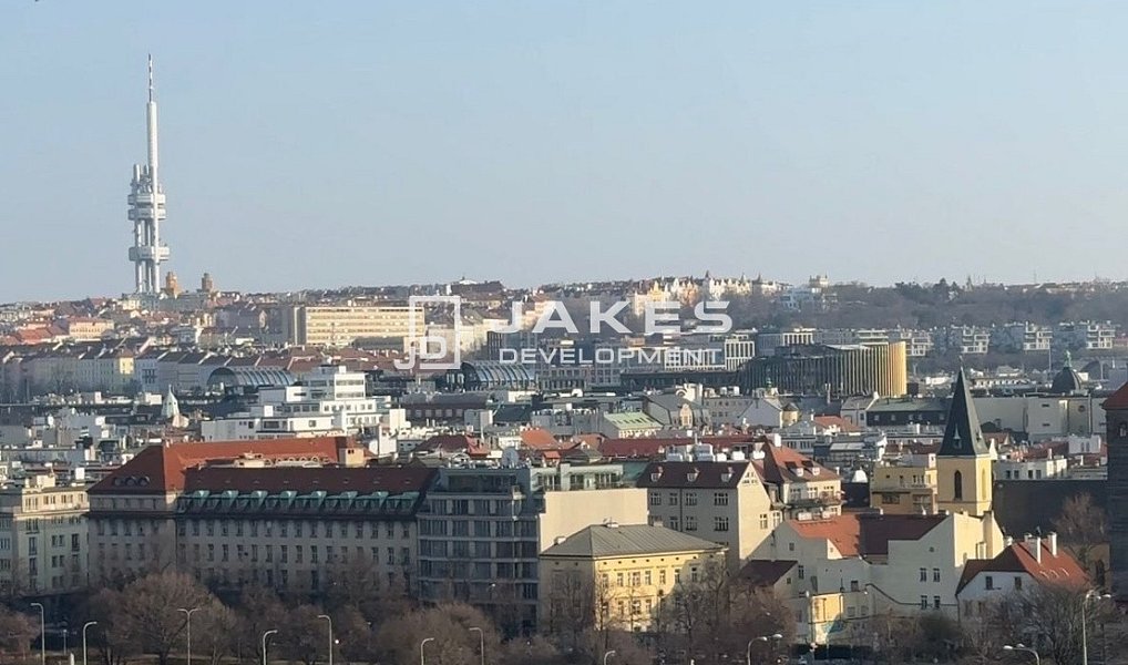 Pronájem bytu 2+kk 47 m², Praha – náhled fotky 10