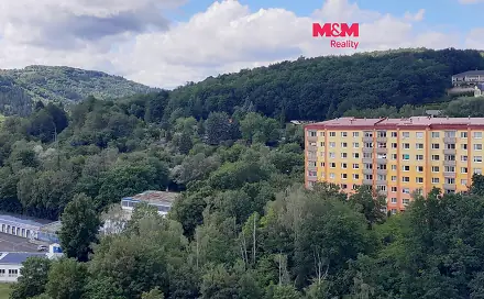 Prodej bytu 3+1 68 m², Svahová, Chomutov