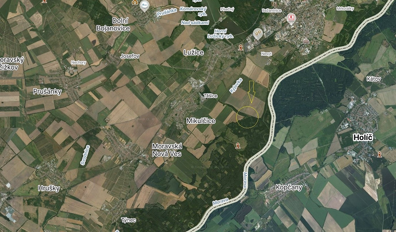 Prodej lesa 2 795 m²