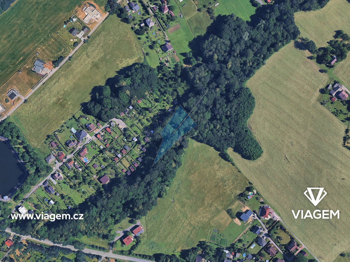 Prodej lesa 1 585 m² – fotografie 2