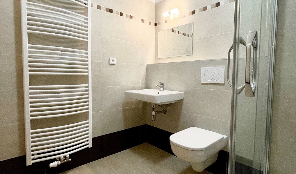 Pronájem bytu 1+kk 38 m², Hluboká nad Vltavou – náhled fotky 6