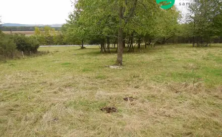 Prodej stavebního pozemku 2 000 m², Konstantinovy Lázně, okres Tachov